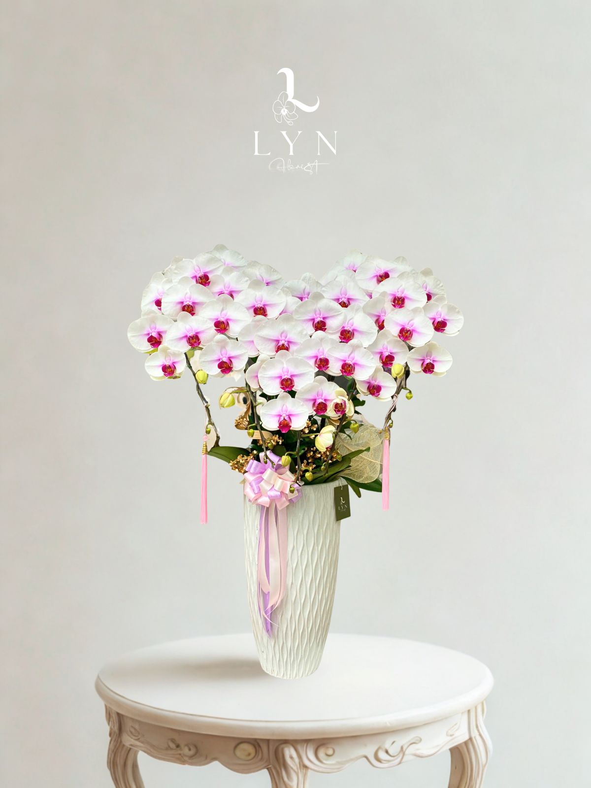 Chậu Hoa Lan Trắng Hồng 103 - BST 